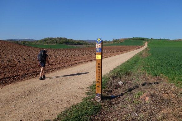 Early morning on the Camino de Santiago