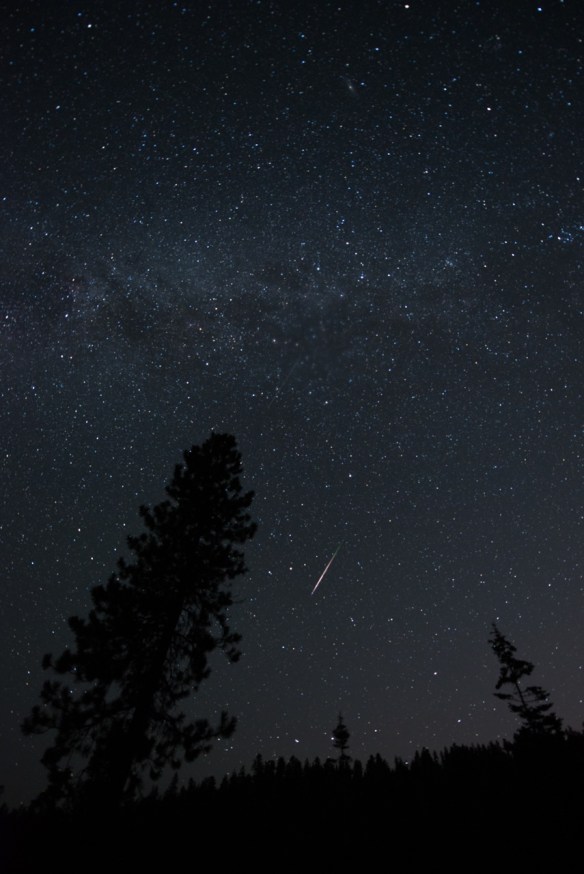 Perseids (sm)
