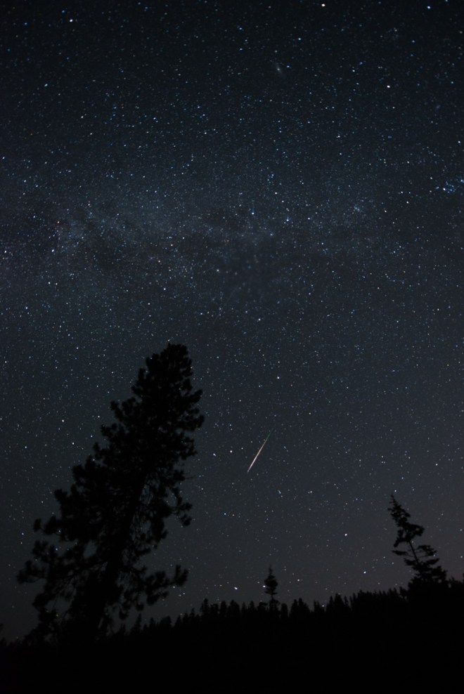 Perseids (sm)